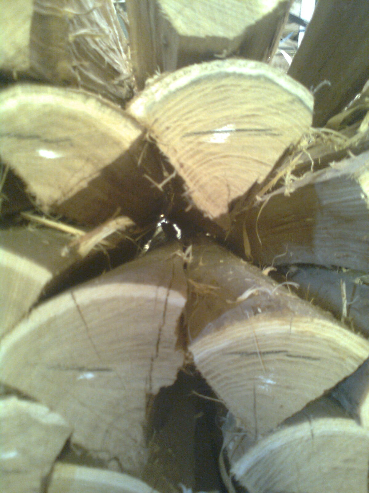 Grumes d'acacia sciées, cernes du bois apparents