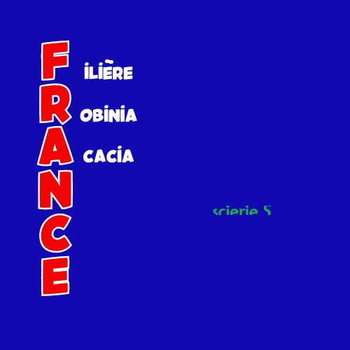Logo Collège 1 — Exploitants forestiers