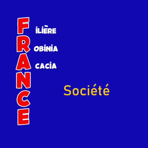 Logo Collège 2 — Scieurs et transformateurs