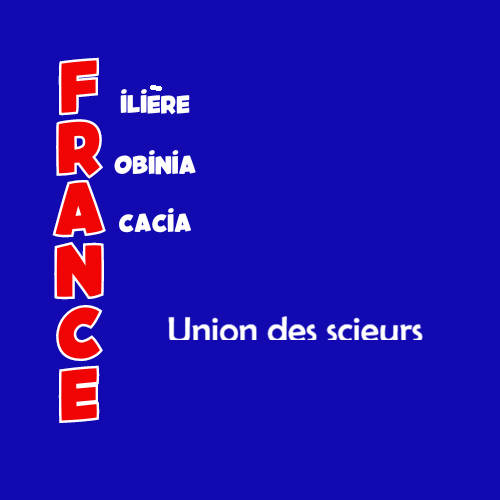 Logo Collège 3 — Professionnels et prescripteurs